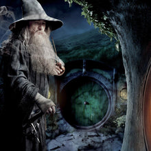 Load image into Gallery viewer, FALSE