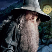 Load image into Gallery viewer, FALSE