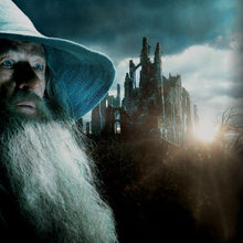 Load image into Gallery viewer, FALSE